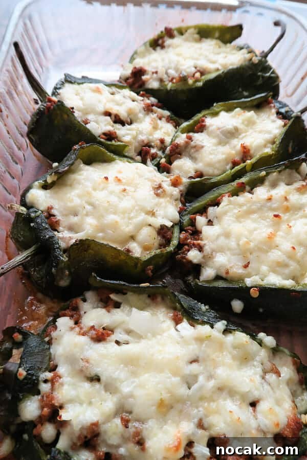 Baked Poblano Chiles Rellenos with Turkey Taco Filling 3 a tray of Easy Healthy Chile Rellenos baked with turkey taco meat