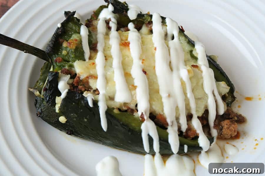 Baked Poblano Chiles Rellenos with Turkey Taco Filling 18 img 741 20