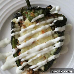 Baked Poblano Chiles Rellenos with Turkey Taco Filling 20 img 741 23