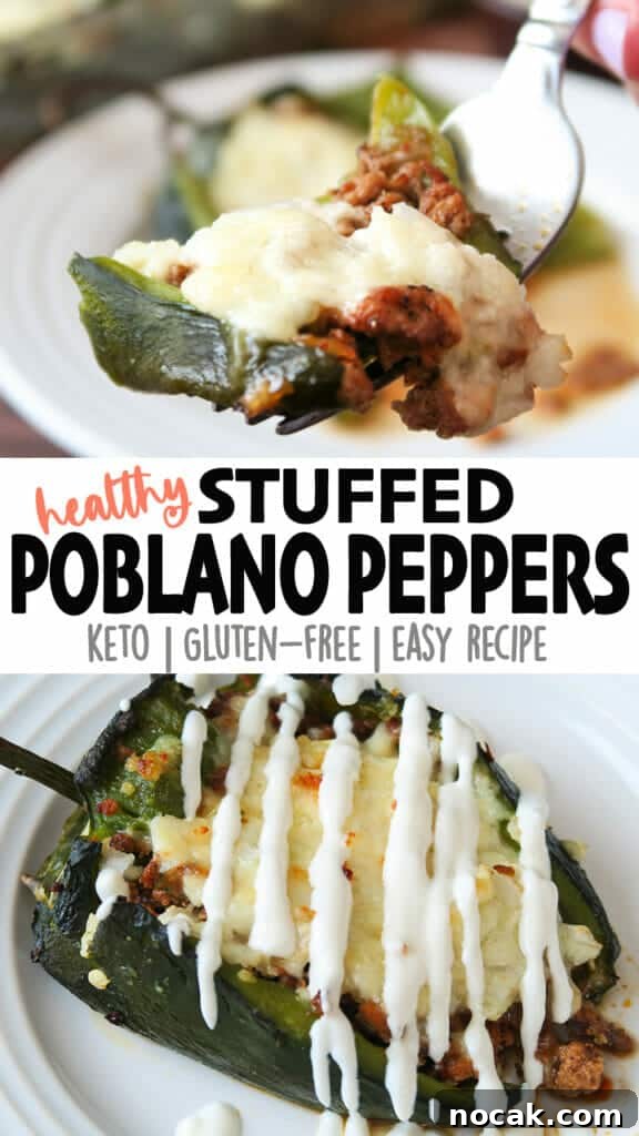 Baked Poblano Chiles Rellenos with Turkey Taco Filling 22 Chiles Rellenos baked with Turkey Taco Meat
