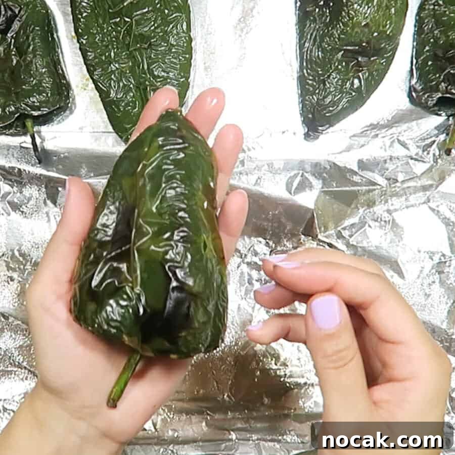 Baked Poblano Chiles Rellenos with Turkey Taco Filling 6 img 741 5