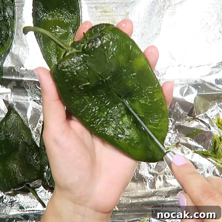 Baked Poblano Chiles Rellenos with Turkey Taco Filling 8 img 741 7