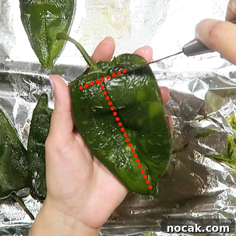 Baked Poblano Chiles Rellenos with Turkey Taco Filling 9 img 741 8