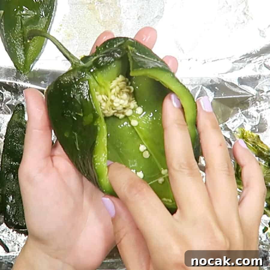 Baked Poblano Chiles Rellenos with Turkey Taco Filling 10 img 741 9