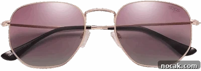 2025 Holiday Gift Guide: Top Picks for Every Recipient 32 Stylish sunglasses with rose gold frames and gradient lenses.