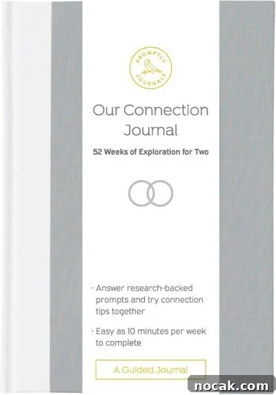 2025 Holiday Gift Guide: Top Picks for Every Recipient 40 Our Connection Journal: 52 Weeks of Exploration for Two by Promptly Journals.