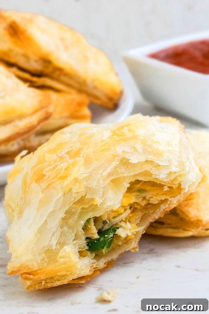 One-Pan Chicken Puff Pastry Bake 3 Leftover Shredded Chicken in Pastry on White Background
