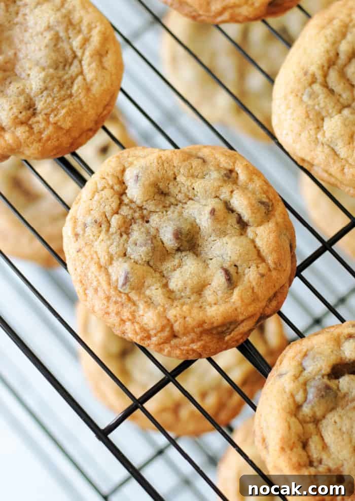 Mrs. Fields Blue Ribbon Chocolate Chip Cookie Recipe 2 baked mrs fields cookies on wire rack