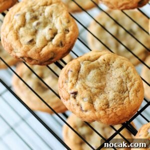 Mrs. Fields Blue Ribbon Chocolate Chip Cookie Recipe 10 cookies on wire cooling rack