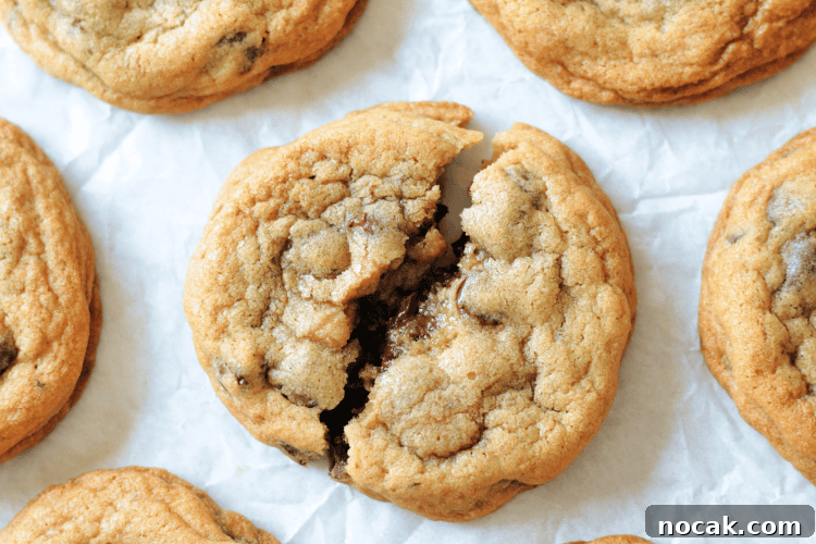 Mrs. Fields Blue Ribbon Chocolate Chip Cookie Recipe 3 chocolate chip cookie broken in half