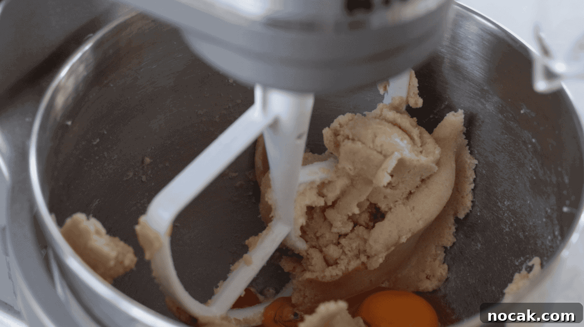 Mrs. Fields Blue Ribbon Chocolate Chip Cookie Recipe 5 Metal mixing bowl with butter, sugars and egg mixed.