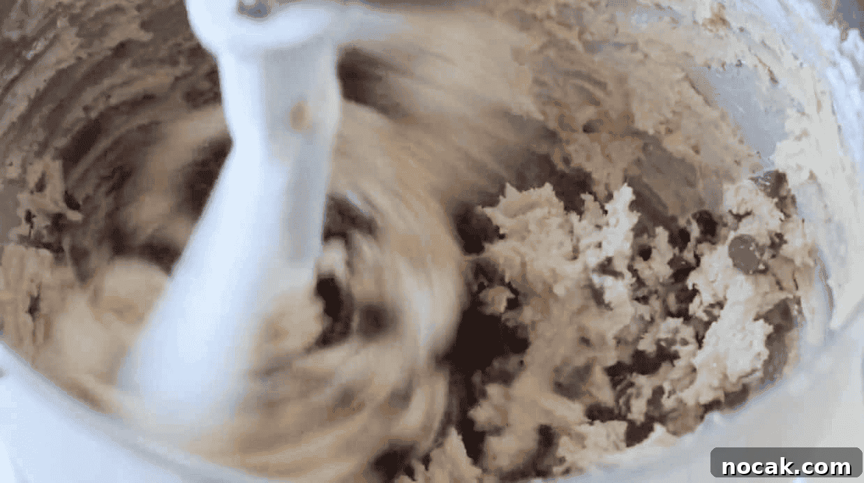 Mrs. Fields Blue Ribbon Chocolate Chip Cookie Recipe 6 Metal mixing bowl with chocolate chip cookie dough.