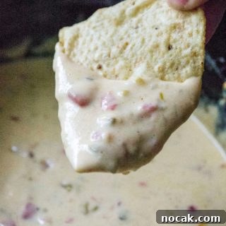 Whether you call it white cheese dip, queso dip or Queso Blanco Dip, this easy slow cooker cheese dip is the perfect party appetizer! Homemade Queso Blanco Dip is easy to make and the perfect slow cooker appetizer to serve up at any party or get-together.