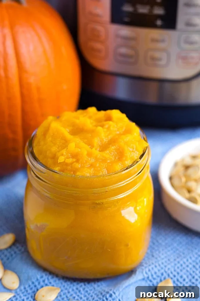 Thanksgiving Recipes for Instant Pot: Fast Holiday Favorites 24 Pumpkin puree in a small glas jar in front of a small pumpkin and pressure cooker