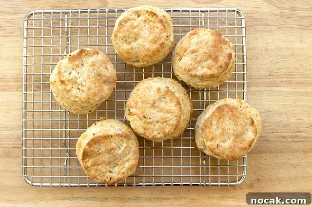 Swiss Cheese and Caraway Buttermilk Biscuits Recipe 2 img 79 1