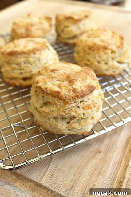 Swiss Cheese and Caraway Buttermilk Biscuits Recipe 3 img 79 2