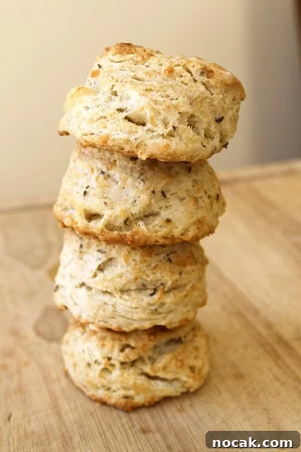 Swiss Cheese and Caraway Buttermilk Biscuits Recipe 4 img 79 3