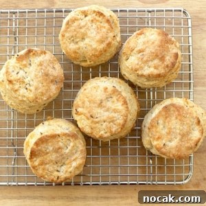 Swiss Cheese and Caraway Buttermilk Biscuits Recipe 7 img 79 6