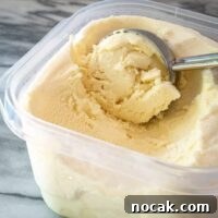 Classic Homemade Vanilla Ice Cream Recipe for Creamy Perfection 2 vanilla ice cream in a container with scoop