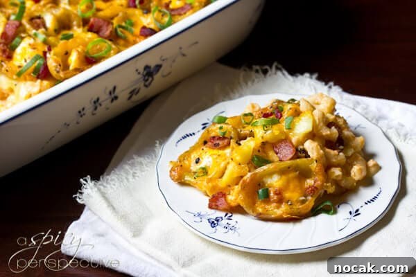 Jo Jo’s Signature Recipes: Family-Favorite Meals and Tips 5 potato skins