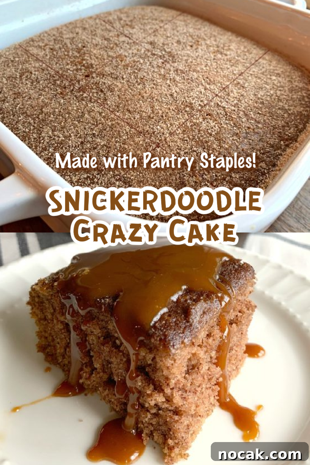 Snickerdoodle Crazy Cake — Eggless, Dairy-Free, Vegan Recipe 3 img 8974 2