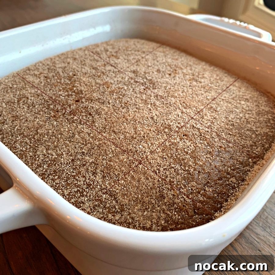 Snickerdoodle Crazy Cake — Eggless, Dairy-Free, Vegan Recipe 5 This is a photo showing the cake in a white baking pan after baking, ready to eat.