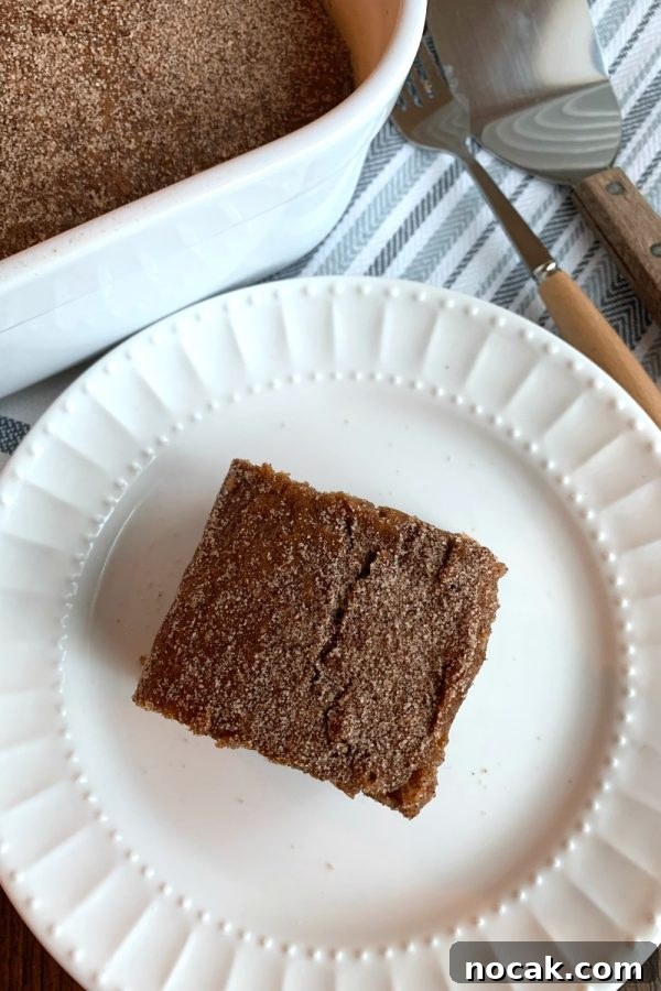 Snickerdoodle Crazy Cake — Eggless, Dairy-Free, Vegan Recipe 6 This is a photo of a piece of Snickerdoodle Crazy Cake served on a white plate with the baking pan behind the cake.