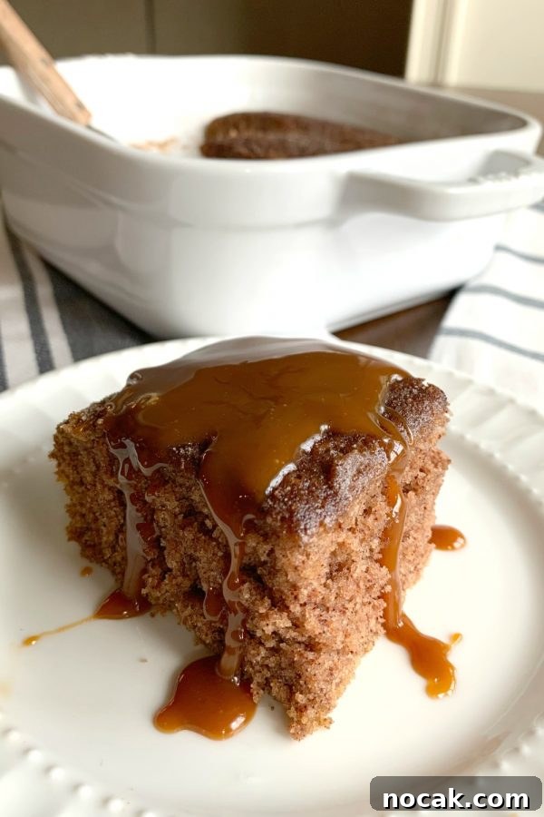 Snickerdoodle Crazy Cake — Eggless, Dairy-Free, Vegan Recipe 7 This is a photo of a piece of Snickerdoodle Crazy Cake served on a white plate with caramel sauce on top. The cake pan is behind the plate.