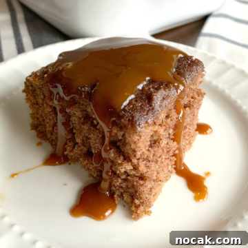 This is a photo of a piece of snickerdoodle crazy cake topped with caramel sauce, served on a white plate.