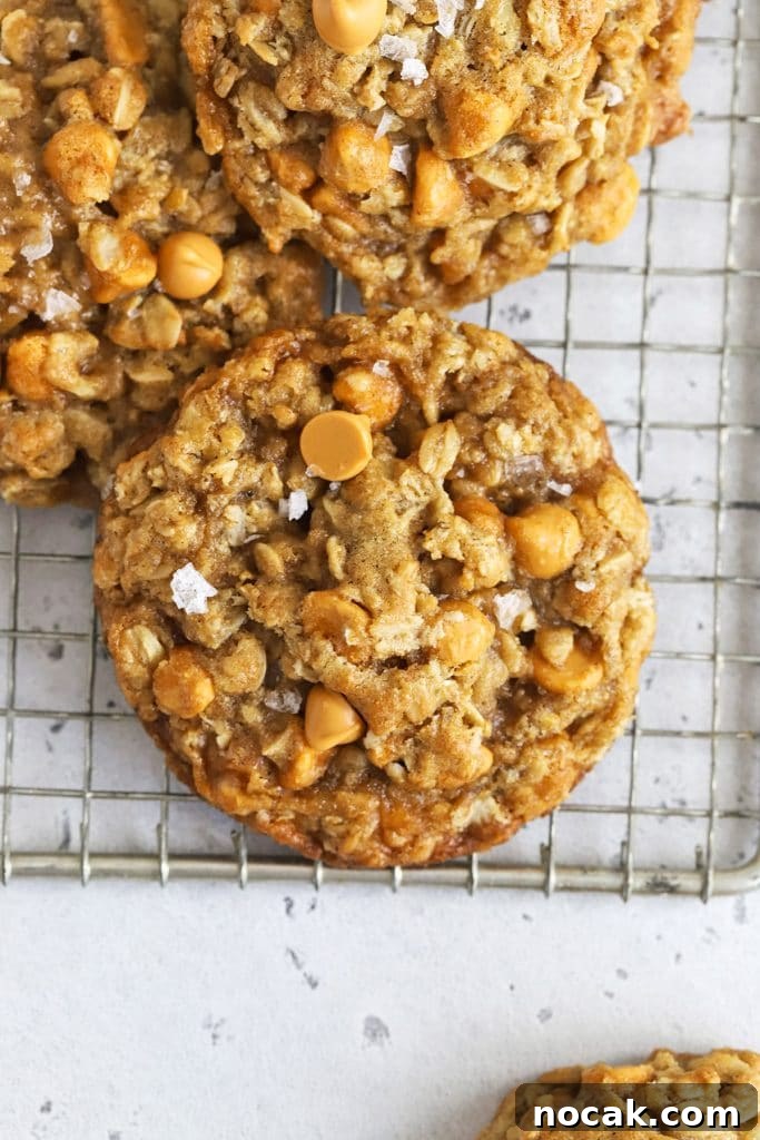 Soft Gluten-Free Oatmeal Raisin Cookies You’ll Love 7 gluten free oatmeal butterscotch cookies topped with flaky sea salt