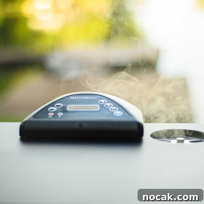 How to Use an Electric Smoker: 7 Simple Steps for Smoky Flavor 6 temperature gauge on electric smoker chamber