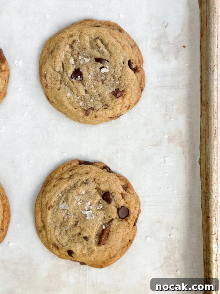 small batch brown butter chocolate chip cookies after baking.