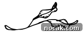 img 9501 10