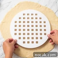 Pie Lattice Cutter