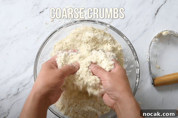 Butter and flour pinched into coarse crumbs