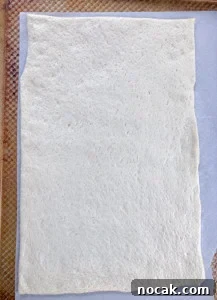 sheet of pizza dough.