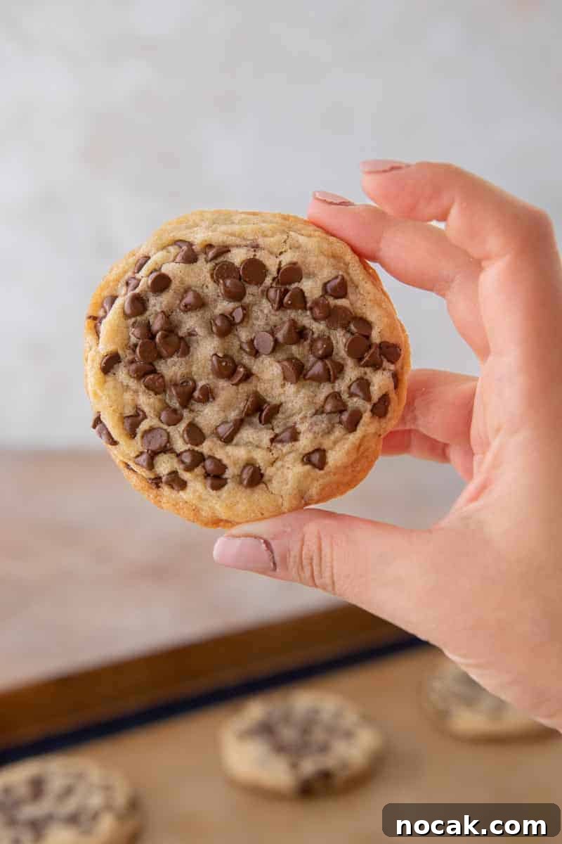Bakery-Style Soft and Chewy Chocolate Chip Sugar Cookies 2 Soft and chewy chocolate chip sugar cookie held in hand