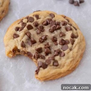Bakery-Style Soft and Chewy Chocolate Chip Sugar Cookies 11 Chocolate chip sugar cookies