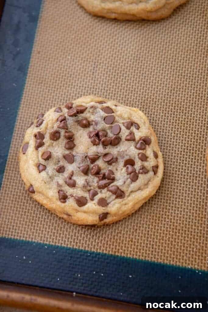 Bakery-Style Soft and Chewy Chocolate Chip Sugar Cookies 9 Soft baked chocolate chip sugar cookie on baking sheet