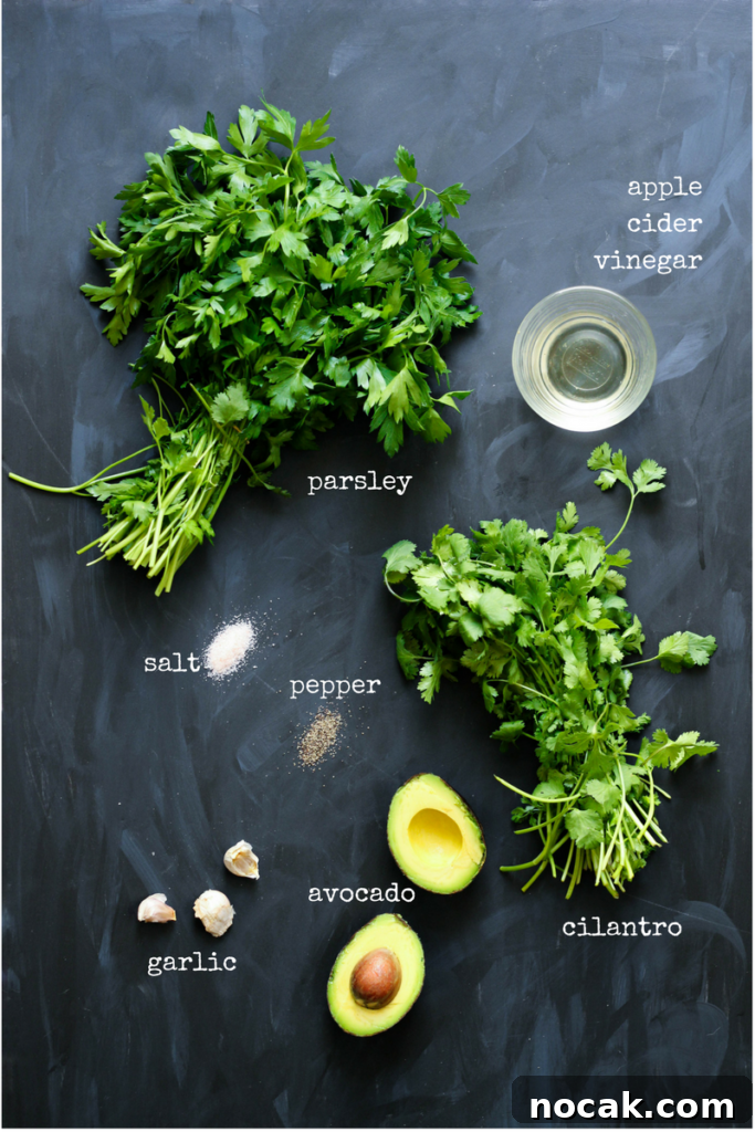 Creamy Chimichurri Sauce - Paleo and Vegan 3 Creamy Chimichurri Sauce Paleo Vegan