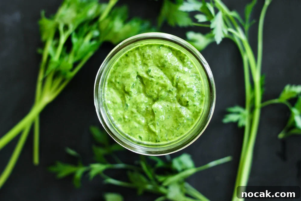 Creamy Chimichurri Sauce - Paleo and Vegan 5 Creamy Chimichurri Sauce Paleo Vegan