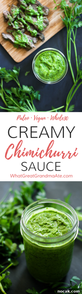 Creamy Chimichurri Sauce - Paleo and Vegan 7 Creamy Chimichurri Sauce (Paleo, Vegan, Whole30)