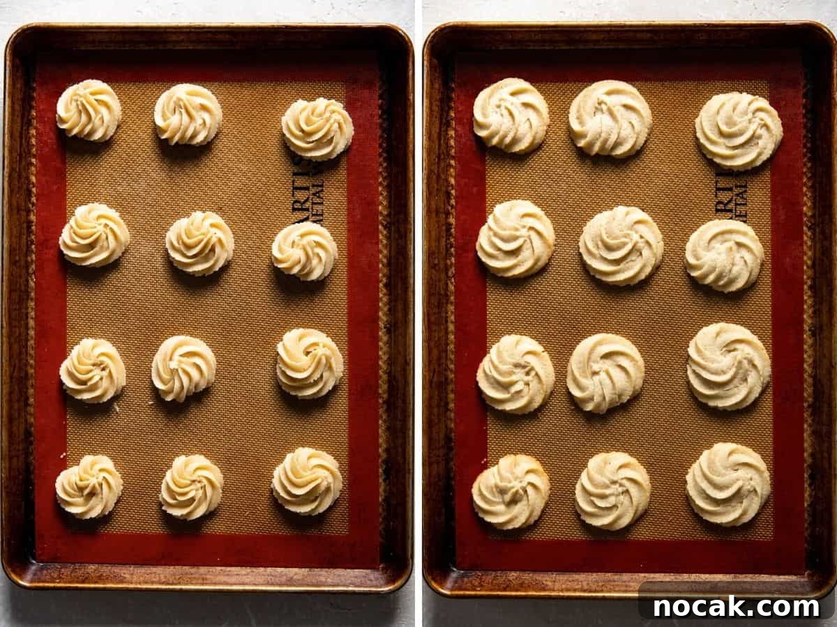 Classic Chocolate-Dipped Butter Cookies Recipe 5 img 8662 4