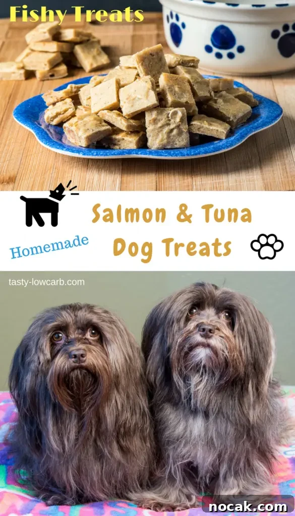 Homemade Salmon & Tuna Dog Treats Your Dog Will Love 8 Salmon and tuna dog treats